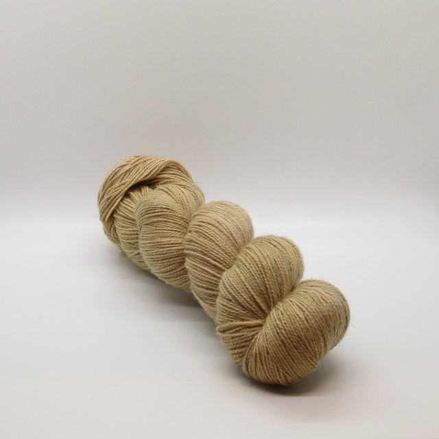 24AW 'Y.A.R.N.' エルテレサ Amazon.com: Red Heart Soft Yarn, Light Gray Heather (E728.9440)