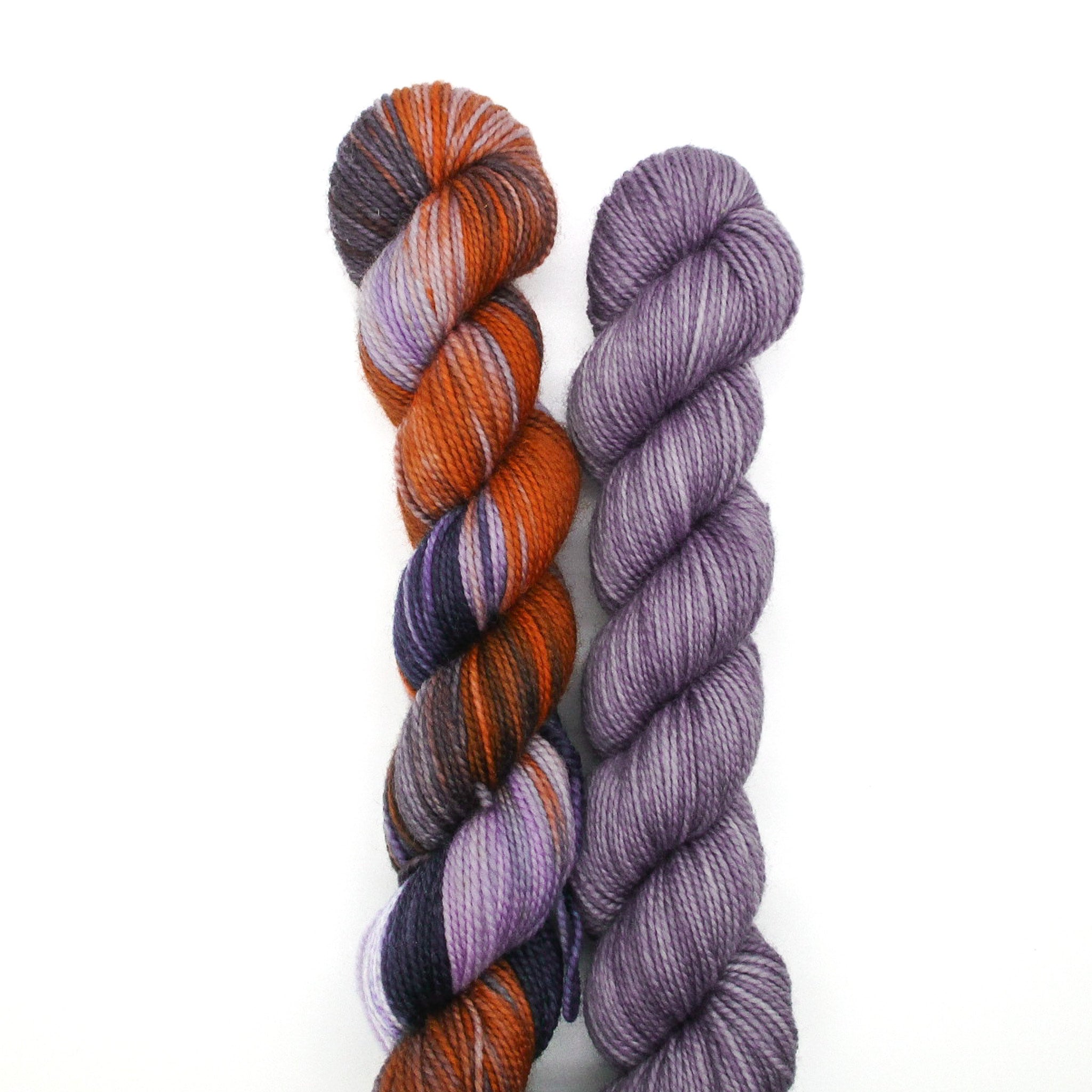 Kim Dyes Yarn LYS Sock Yarn Club (June 2024) Yarn Social